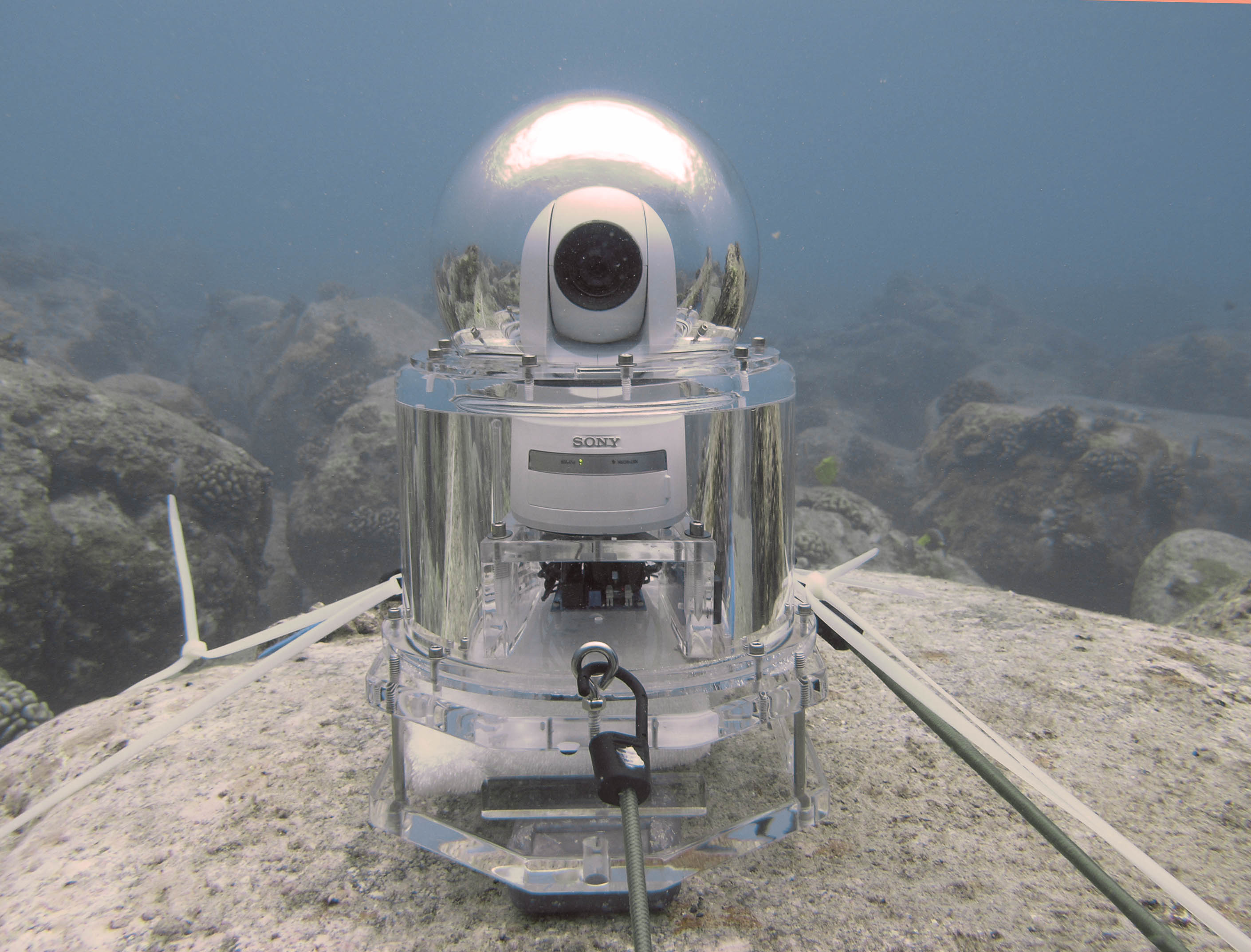 Underwater video camera deployed in Kona, Hawaii